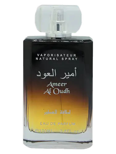 Ameer Al Oudh