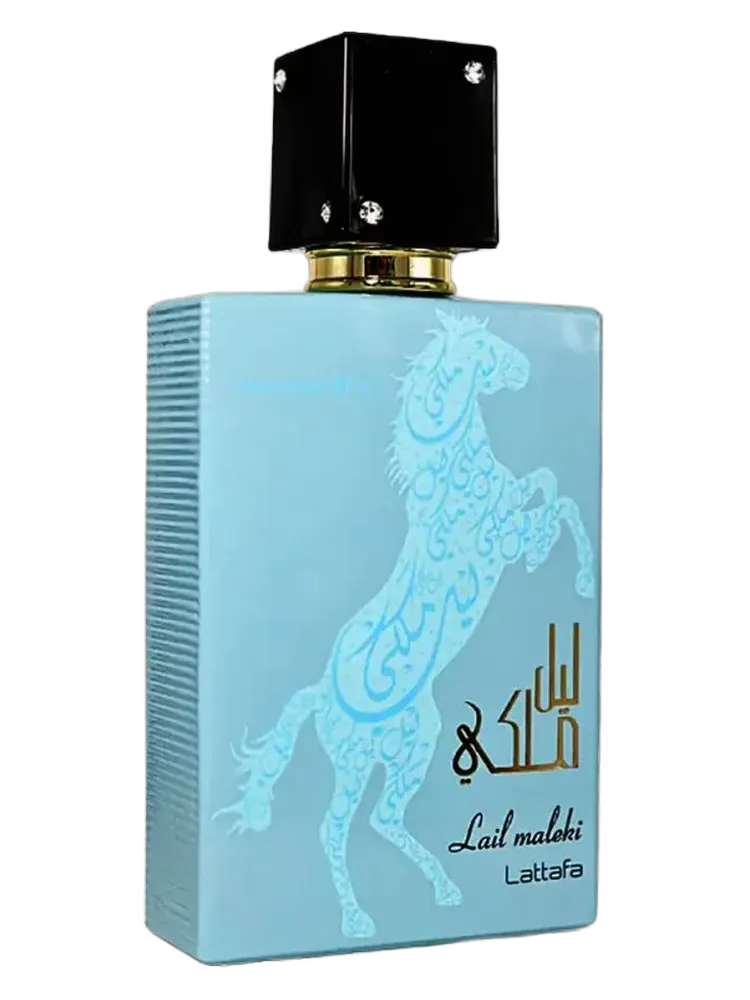 Lail Maleki Moroccan Blue