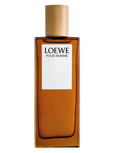 Loewe Pour Homme