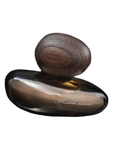 Fusion Sacrée Obscur