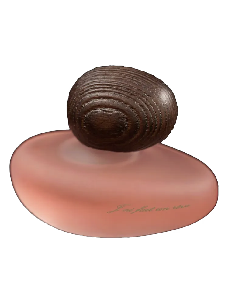 J'ai Fait Un Rêve Clair