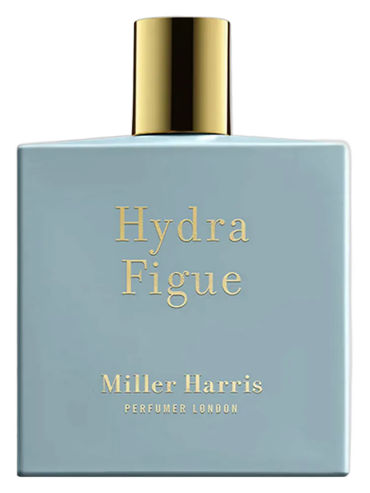 Hydra Figue