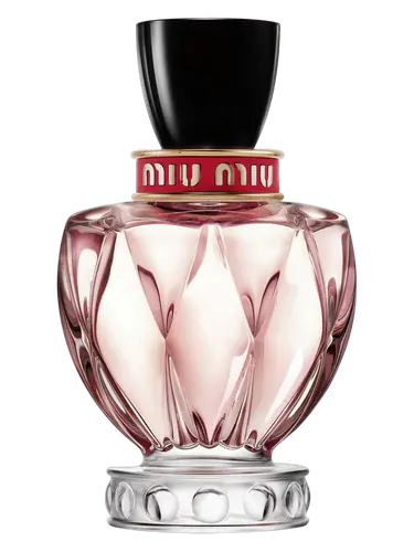 Miu Miu Twist