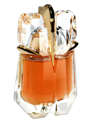 The Taste of Fragrance Alien