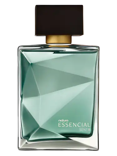 Essencial Sentir