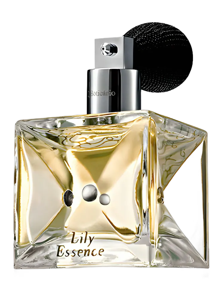 Lily Essence