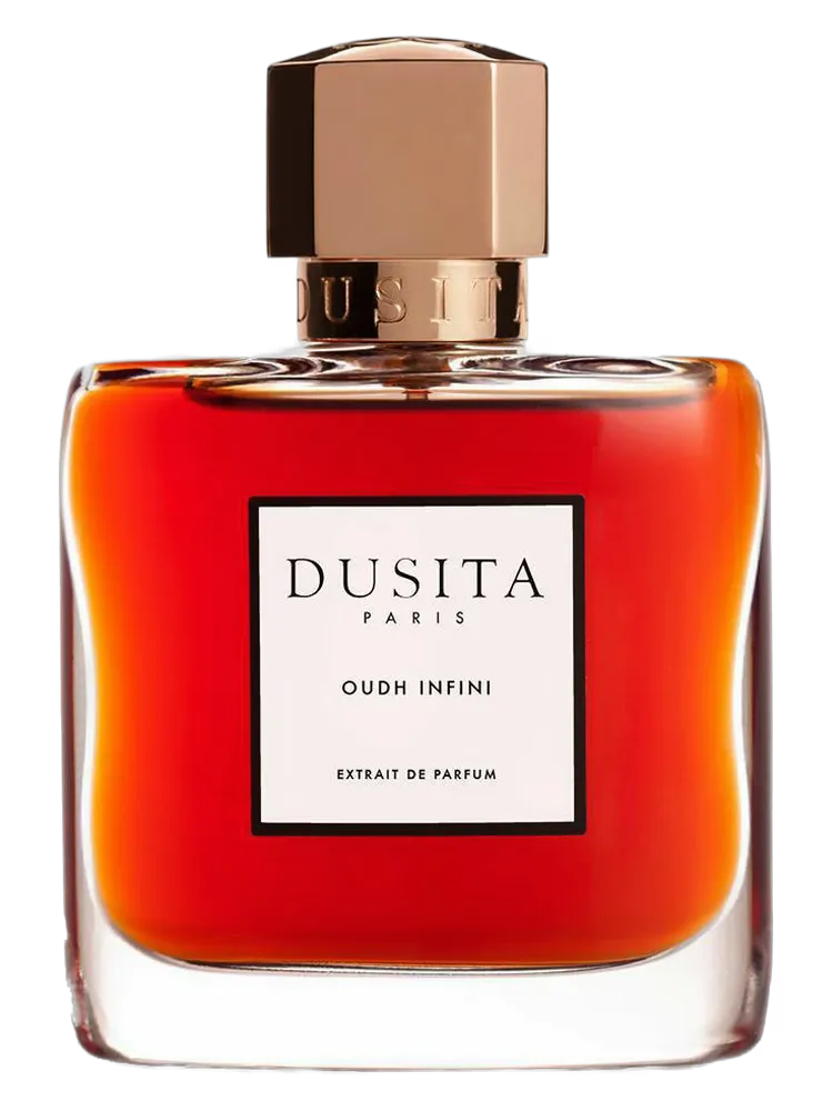 Oudh Infini