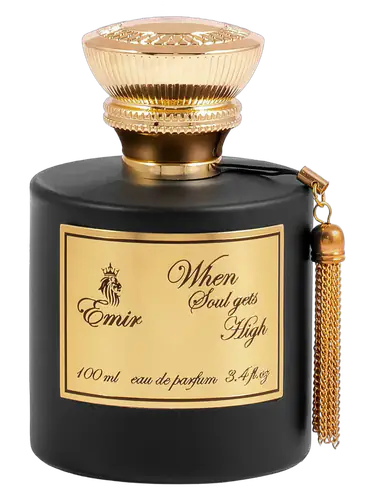 Emir When Soul Gets High