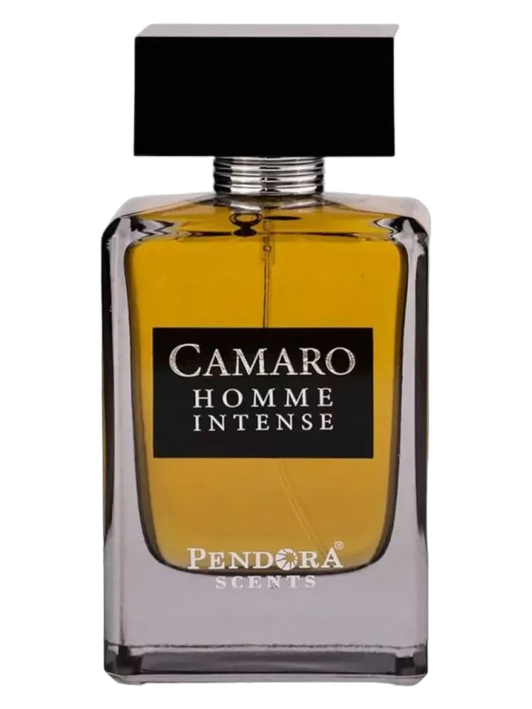 Camaro Homme Intense