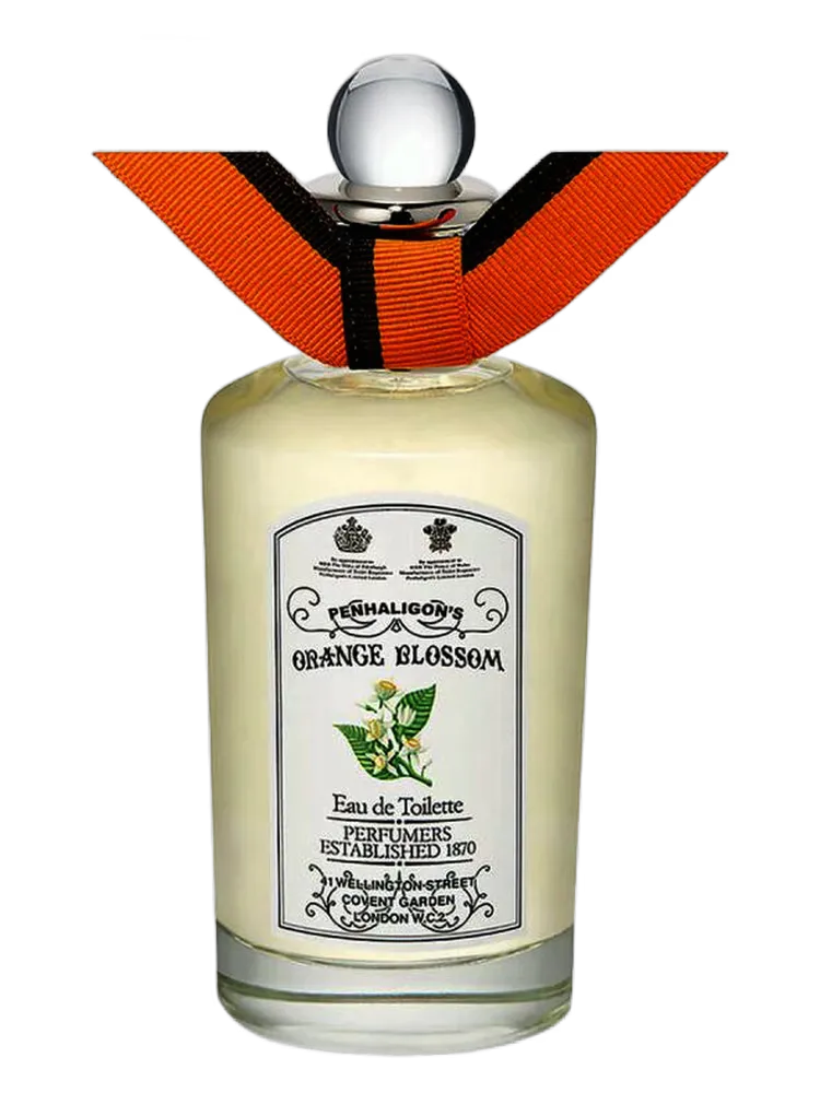 Orange Blossom