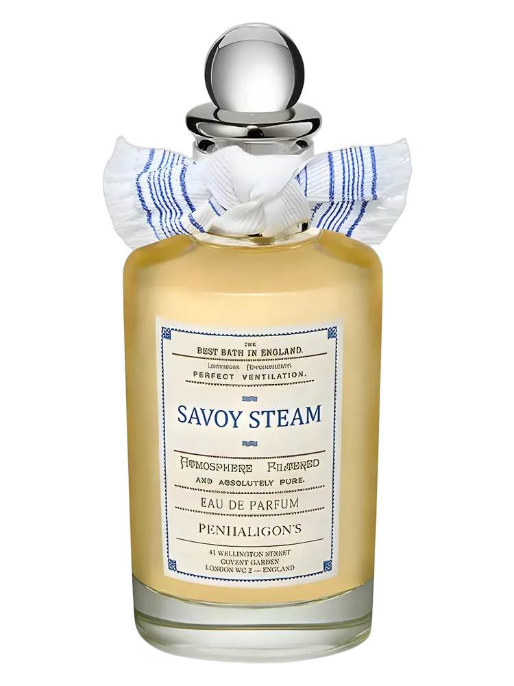 Savoy Steam