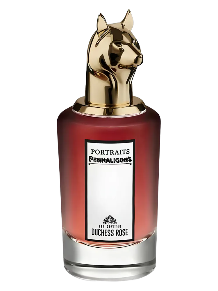 The Coveted Duchess Rose