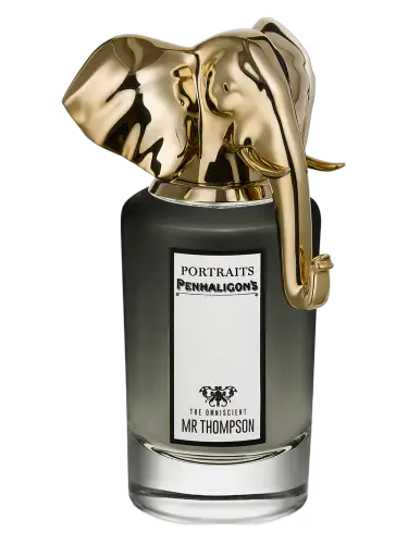 The Omniscient Mr Thompson