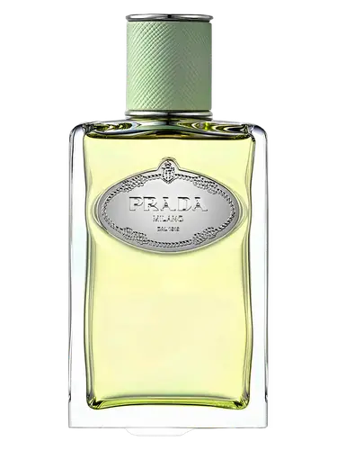 Infusion d'Iris (2015)