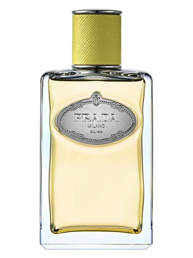 Infusion de Gingembre