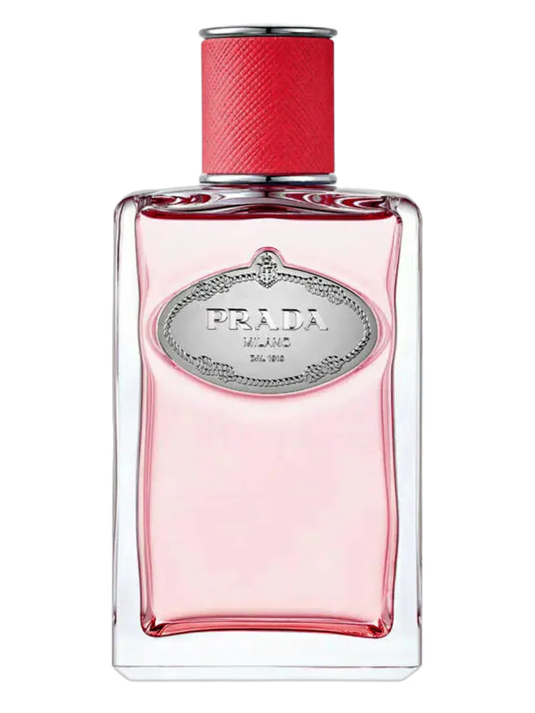 Infusion de Rhubarbe