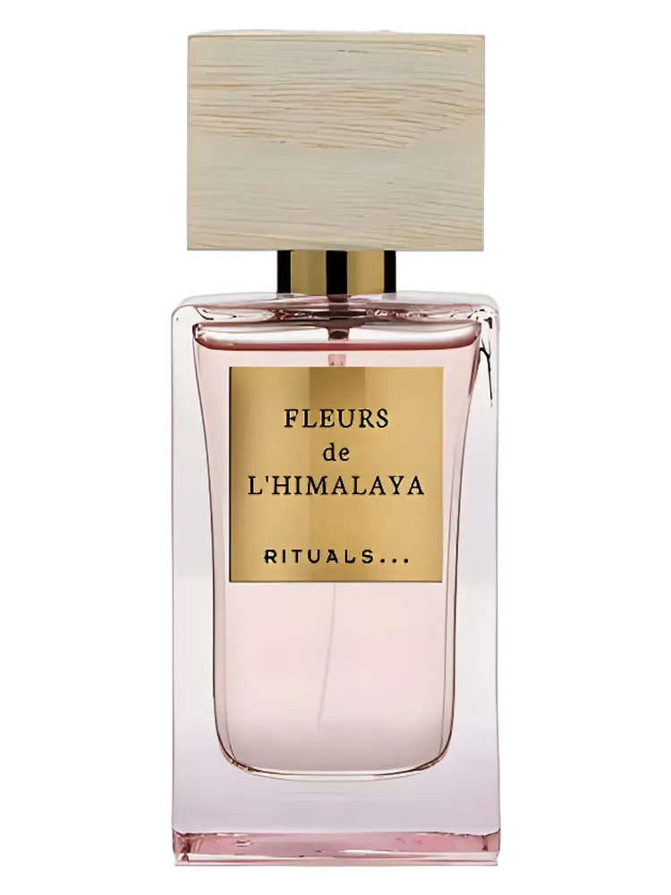 Fleurs de L'Himalaya