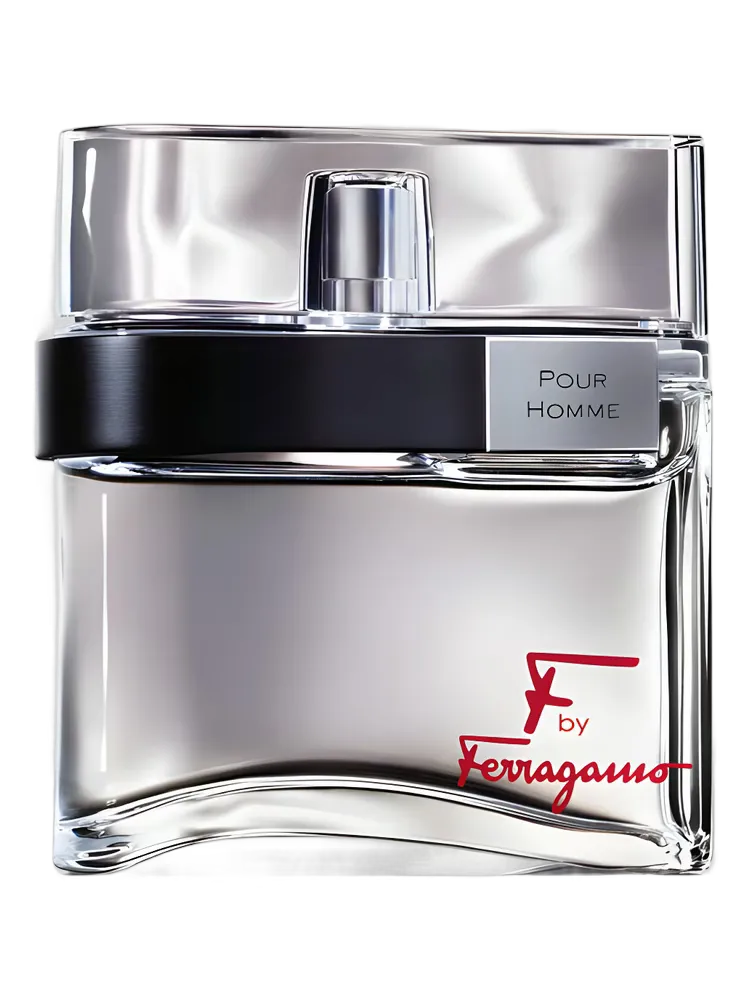 F by Ferragamo Pour Homme