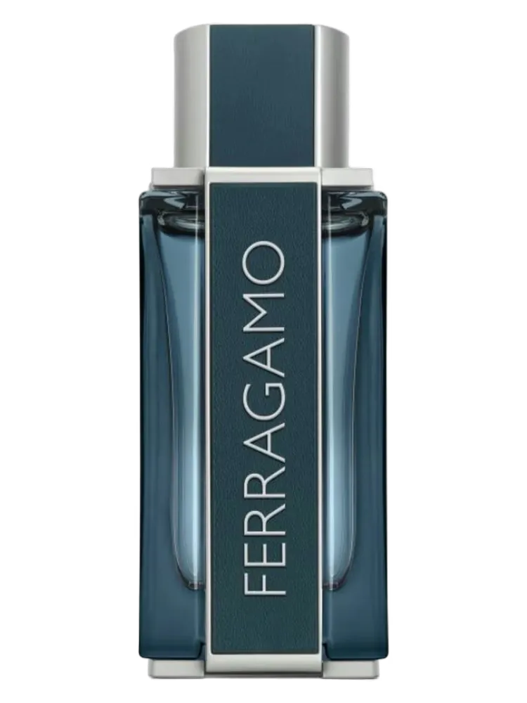 Ferragamo Intense Leather