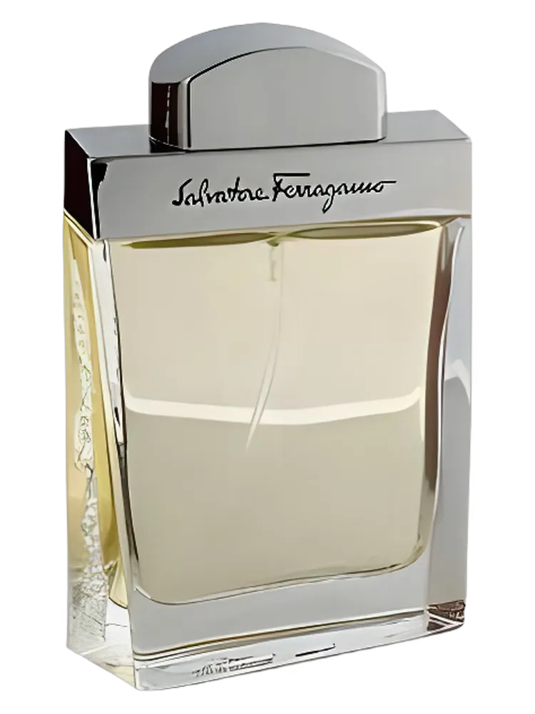 Salvatore Ferragamo Pour Homme