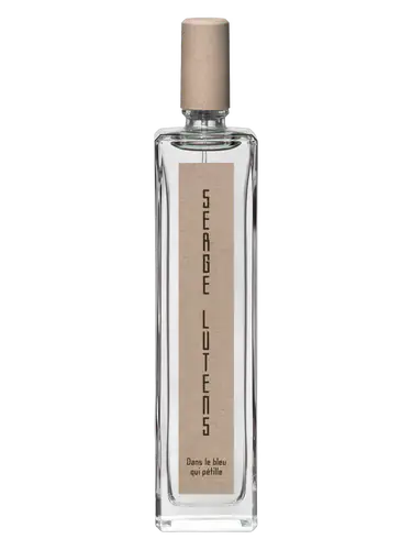 Dans Le Bleu Qui Pétille