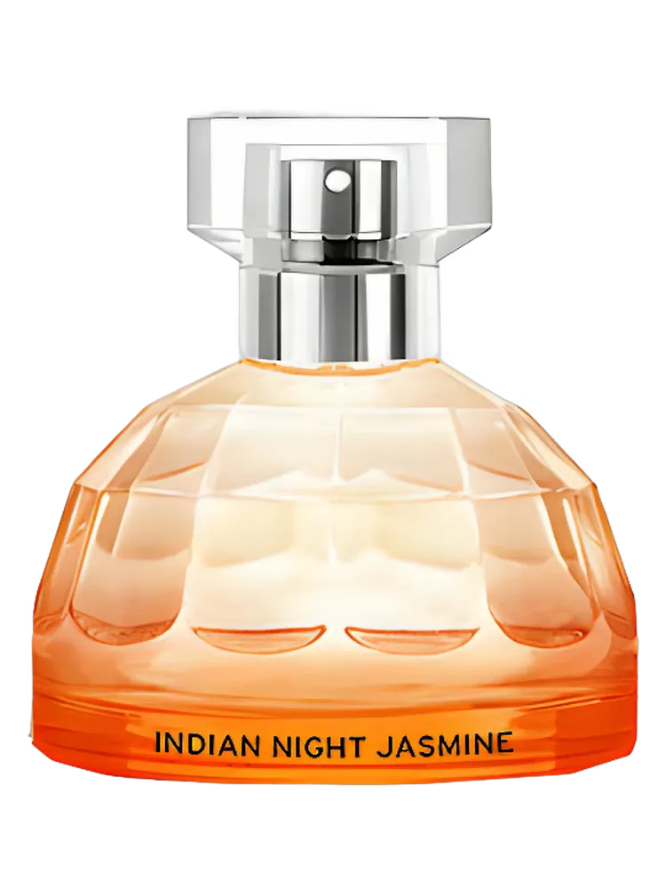 Indian Night Jasmine