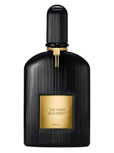 Black Orchid
