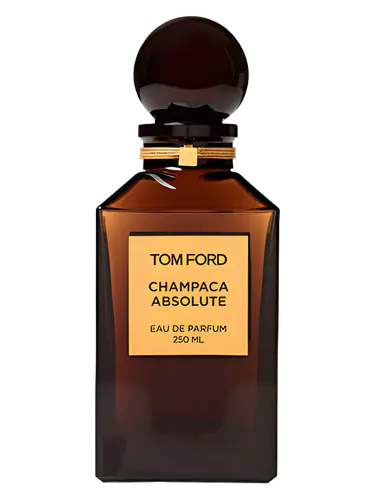 Champaca Absolute
