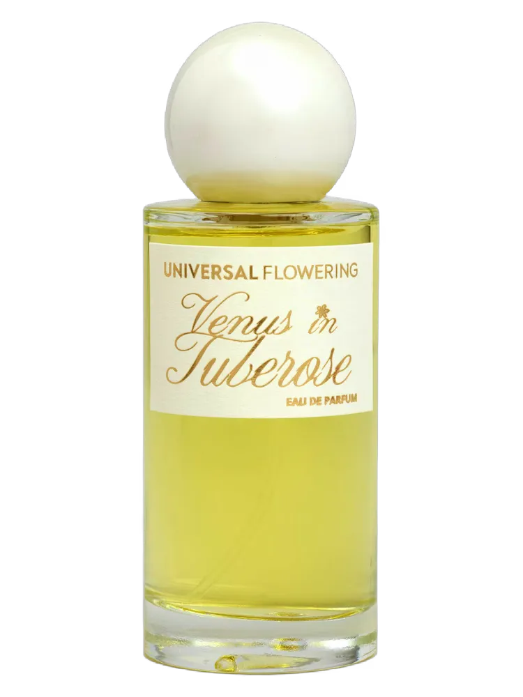 Venus in Tuberose