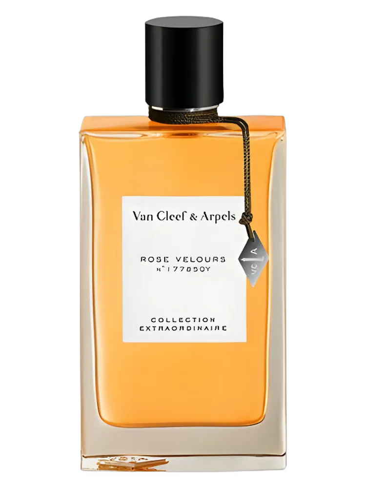 Rose Velours