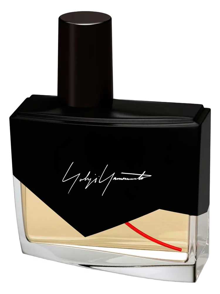 I'm Not Going to Disturb You Homme