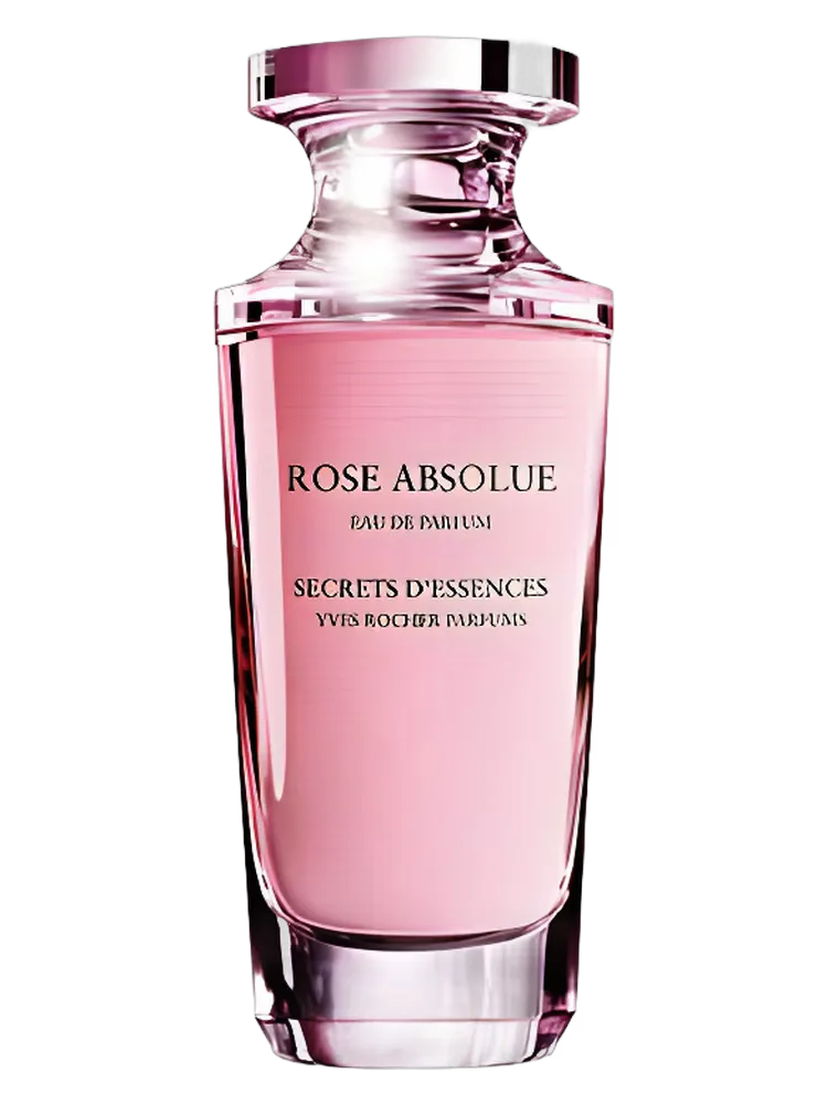 Rose Absolue