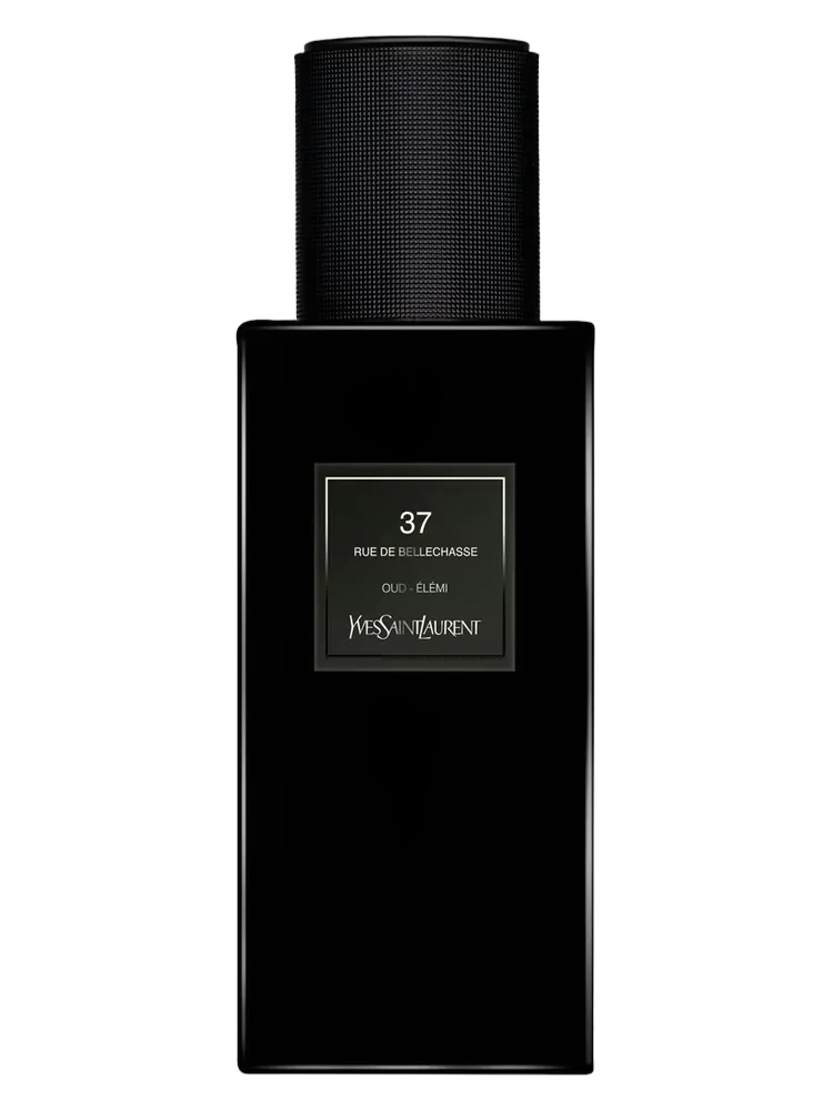 37 rue de Bellechasse by Yves Saint Laurent