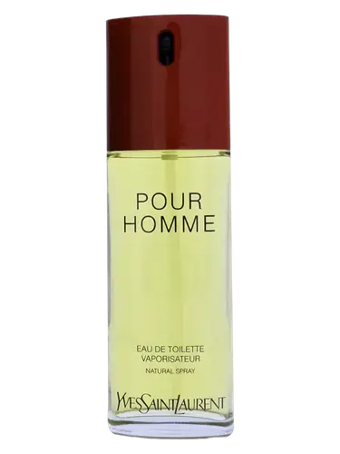 Yves Saint Laurent Pour Homme