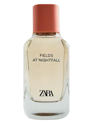 Fields at Nightfall 2020