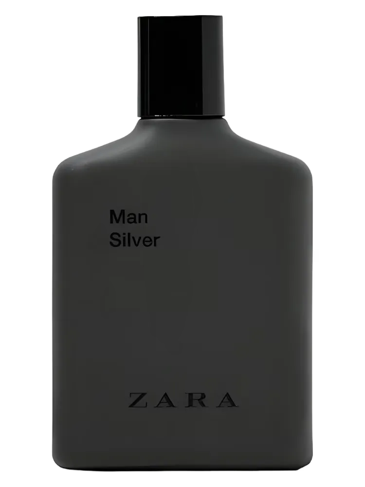 Man Silver by Zara