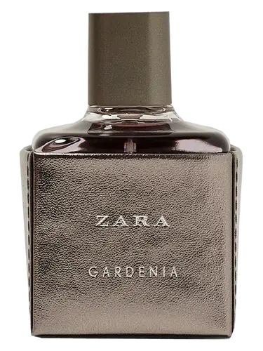 Zara Gardenia 2017