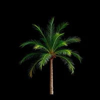 Palm Tree