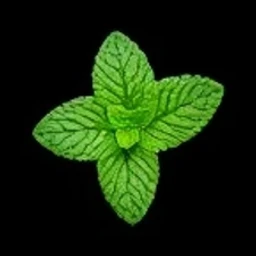 Peppermint