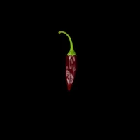 Peruvian Pepper
