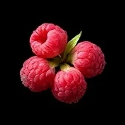 Raspberry blossom