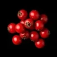 Red berries