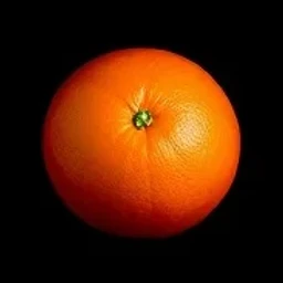 Red mandarin orange