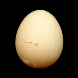 Rotten Egg
