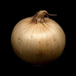 Rotten Onion