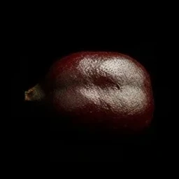 Sapote