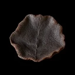 Smoked leather