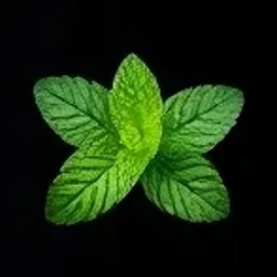 Spearmint