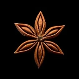 Star Anise