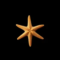 Starfish